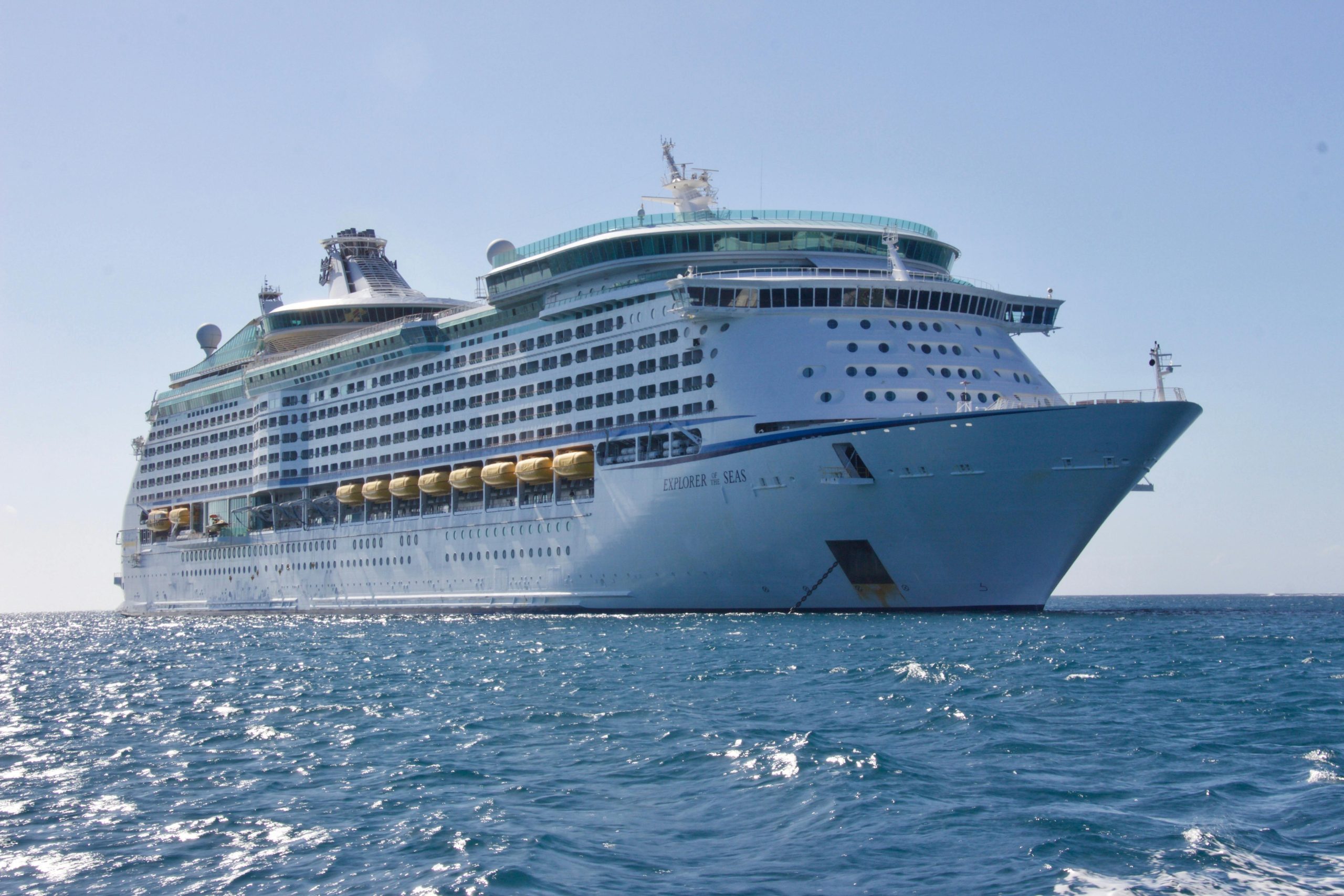 Banner Cruceros